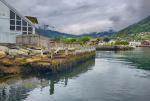 Norweskie klimaty