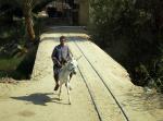 Luxor - rano 8 34 