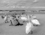 T.T. Morskie klimaty