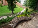 Frombork