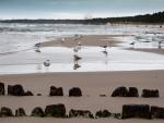 Artefakty plażowe