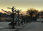 Będzie zielono.