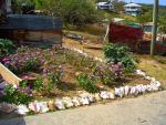 Mayreau