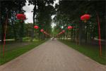Aleja lampionów (2)