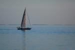 The blue afternoon