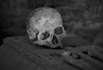 To be, or not to be ?    (2)
