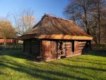 Trochę wiosny zimą (2)