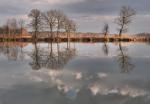 Przedwiośnie (3)