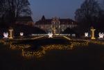 Oliwskie iluminacje