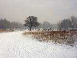 Reda, park