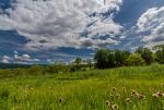 Panorama Tworylnego