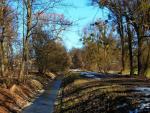 Spacerowy widok