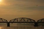 Toruń. Mglisty poranek. Most przez Wisłę. Ptak. Nic więcej.