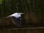 Dzisiejsza-31-05-2014