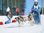 Kubalonka 2010