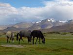 Ladakh, Himalaje