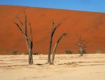 Dead Vlei cd 