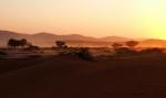 Namib 