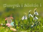 Wesołych Świąt :) 