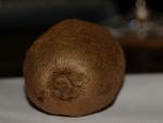 kiwi :) 
