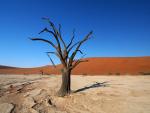 Dead Vlei 