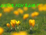 Wesołych Świąt :) 