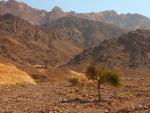 Jordania 