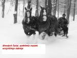 Wesołych i Radosnych 