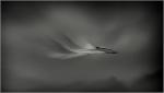 Speed