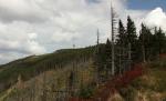 Beskidy - Skrzyczne