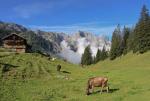 Tirol