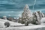 Tirol