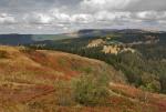 Feldberg