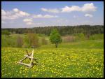 Wiosna