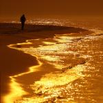..silence is gold.
