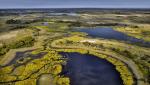 Delta Okawango