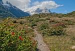 PN Torres del Paine