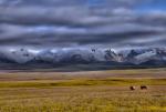 Poranek nad jeziorem Song Kul