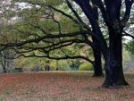 Park w Świerklańcu