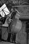 Double bass.