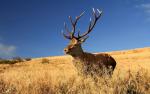 Chwile